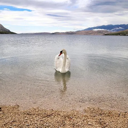 Ria2 Pag Apartament Pag Town