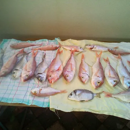 Ria2 Pag Apartmán Pag Town