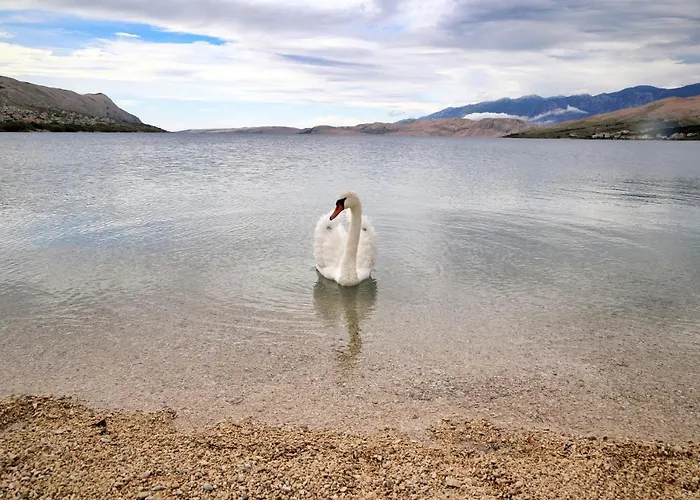 Ria2 Pag דירה פג