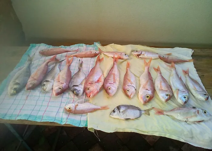 Ria2 Pag דירה פג