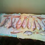 Ria2 Pag شقة باغ