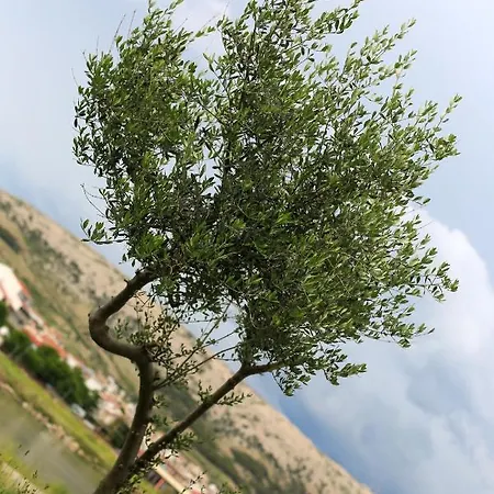 Ria2 Pag Apartamento *